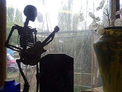heavy metal skeleton by steve anderson