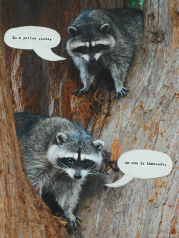 In A Police State.. No One
                                        Is Innocent - raccoons with word
                                        balloons